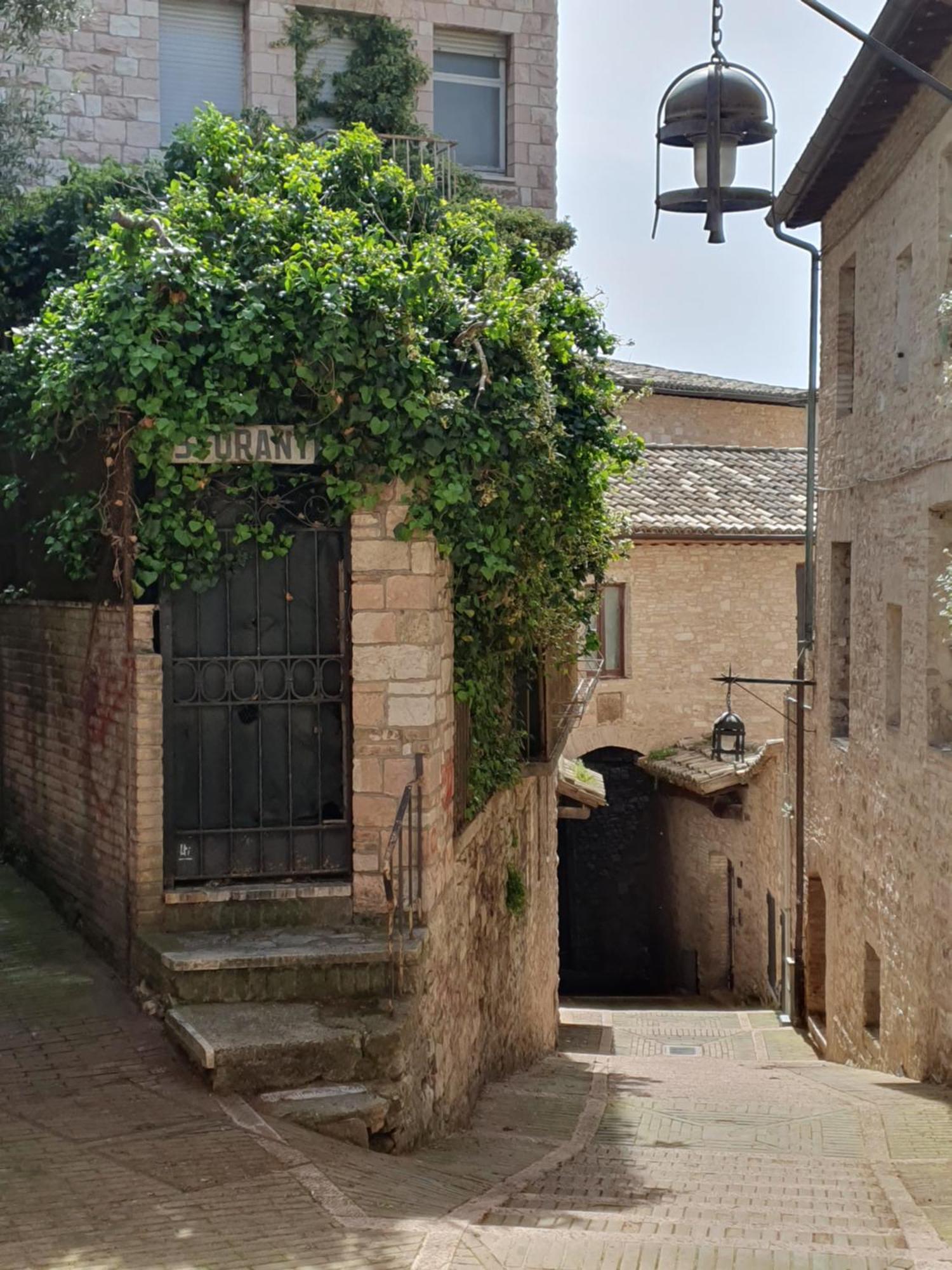 Apartamento La Perla Di Tamara-Assisi Blu Exterior foto